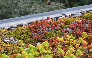 the cost of Barningham Green green roof installation