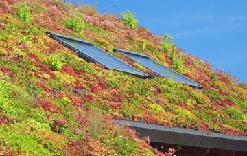 Barningham Green living roof systems